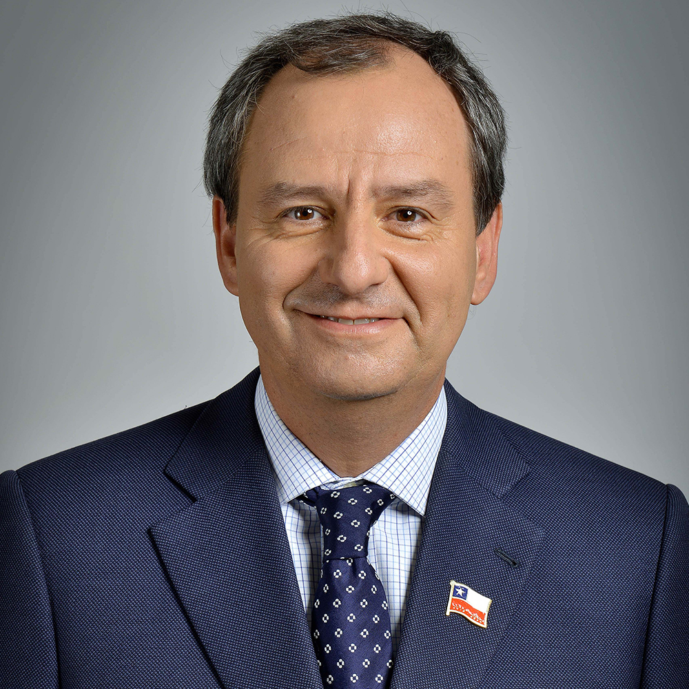 Gerardo Varela - Wikipedia, la enciclopedia libre