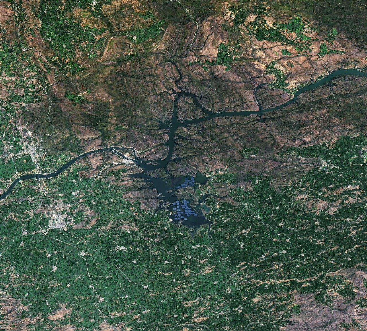Floating Solar in Madhya Pradesh (154067 - 50130 lrg).jpg