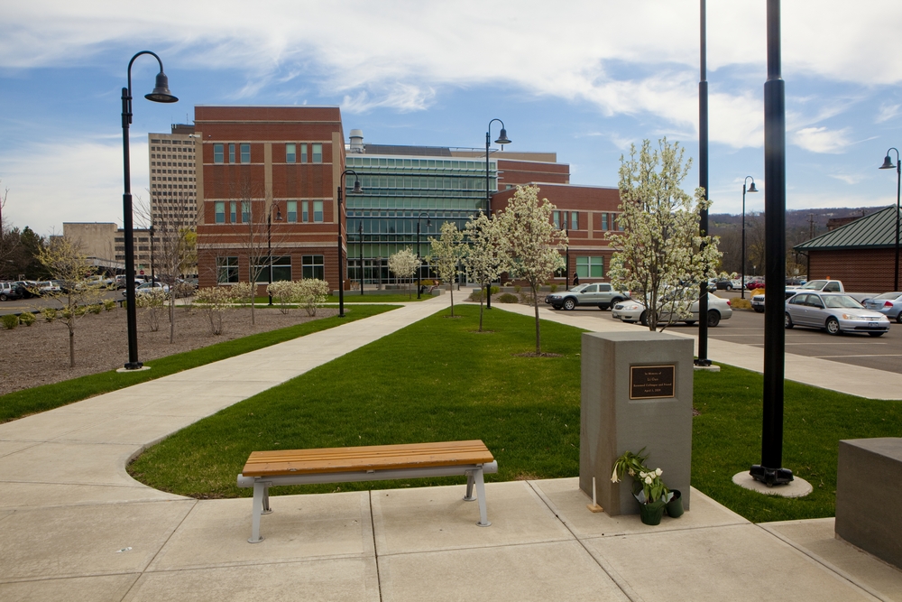 Binghamton university downtown center.jpg