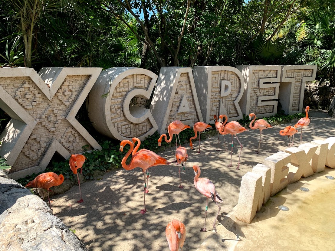 Grupo Xcaret reporta filtración de datos de 8,300 clientes